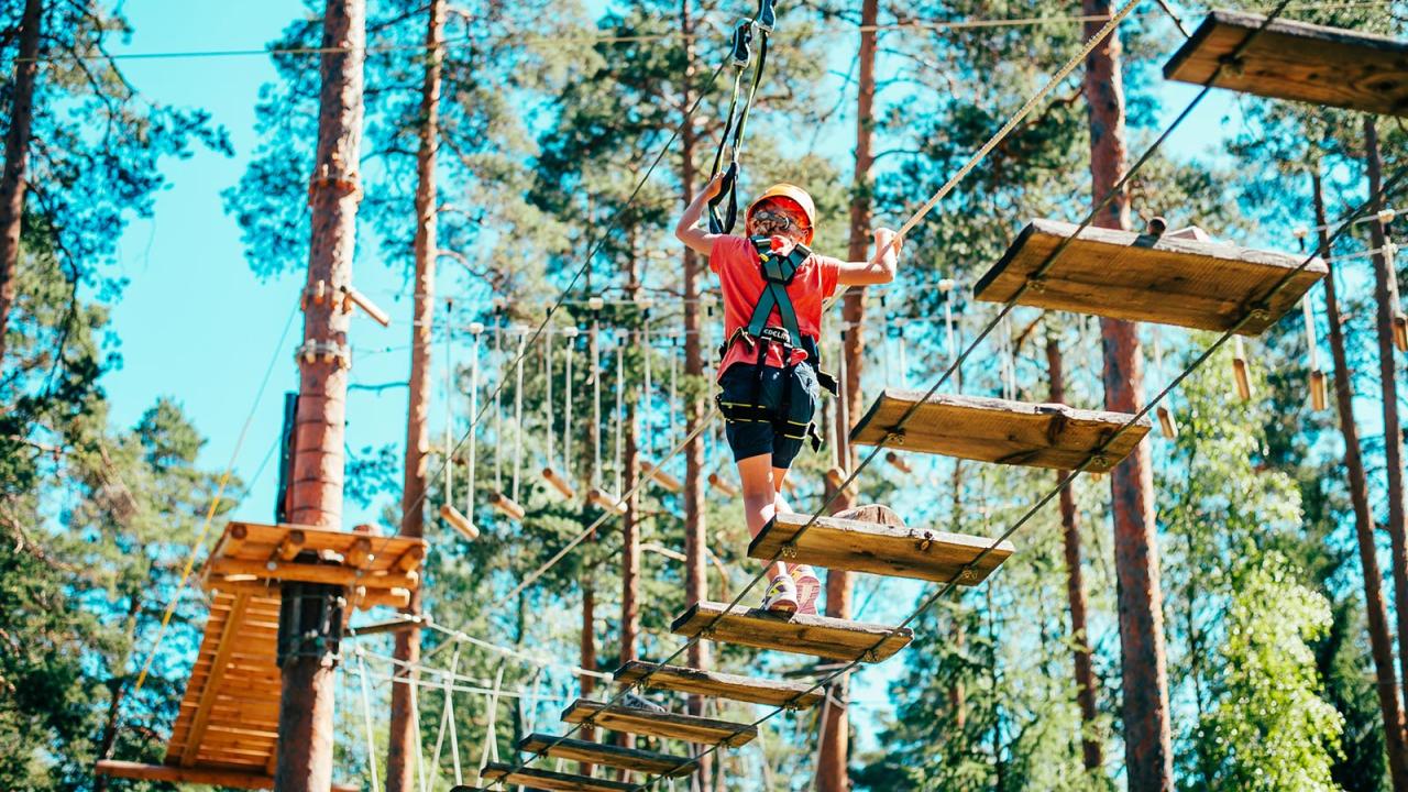 Person navigating a ropes course in a forest, wearing safety gear.