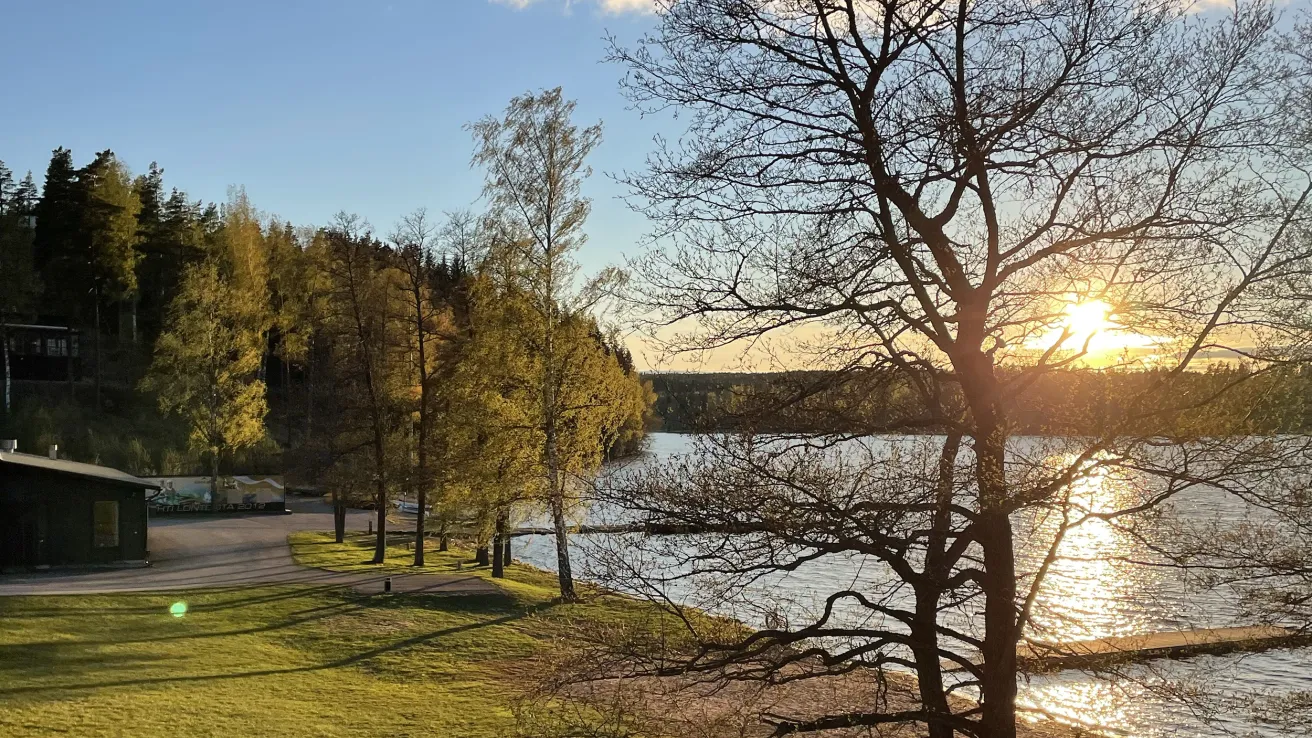 Sun setting over a lake with trees and a grassy shore.