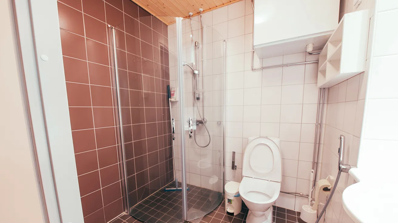 Kylpyhuone, jossa on suihku ja wc, ruskeat ja valkoiset laatat.