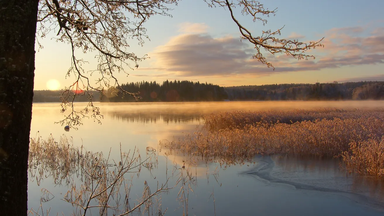 Hyvän olon viikonloppu