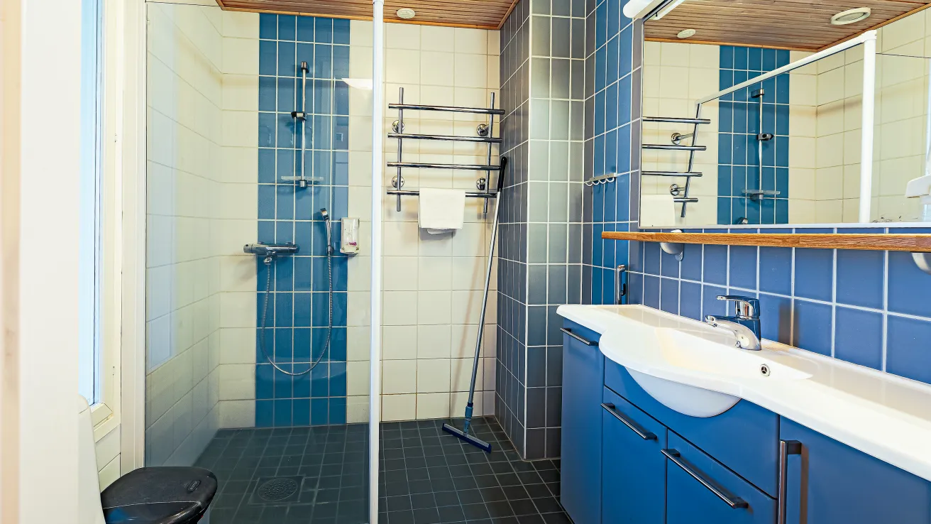 Hotelli Hopeapaju yläkerran WC ja kylpyhuone