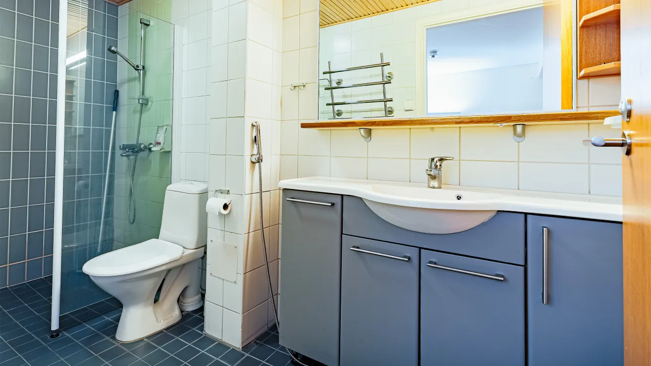 Hotelli Hopeapaju alakerta WC ja kylpyhuone