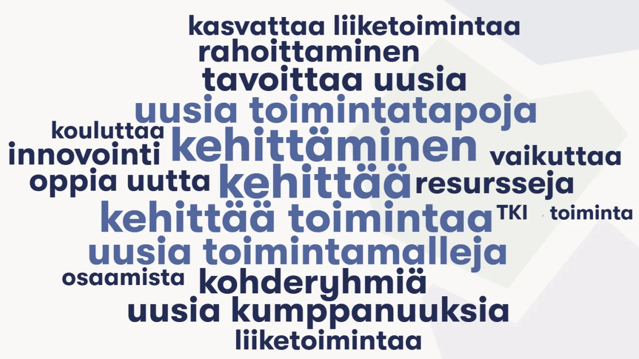 Hankepäivässä syntyi sanapilven verran ideoita