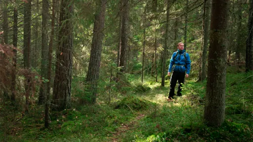 Mies sinisessä takissa kävelee metsäpolulla.