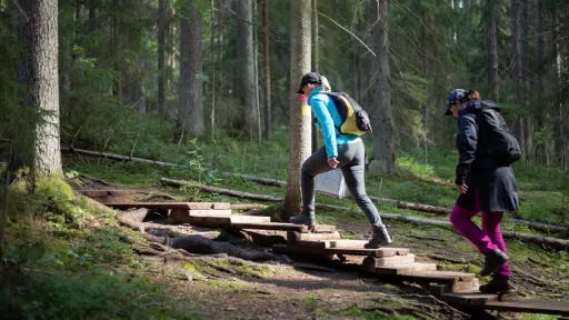 Kaksi ihmistä vaeltaa metsäpolulla portailla.