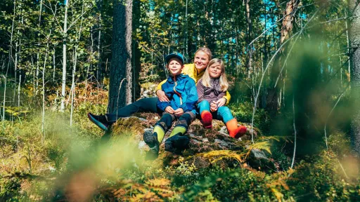 Kolme lasta istuu metsän keskellä kivellä, ympärillä vihreää kasvillisuutta.