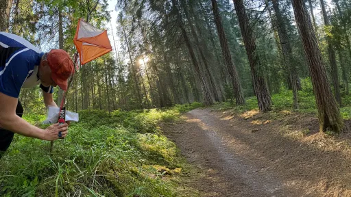 Veteraanisuunnistaja metsässä