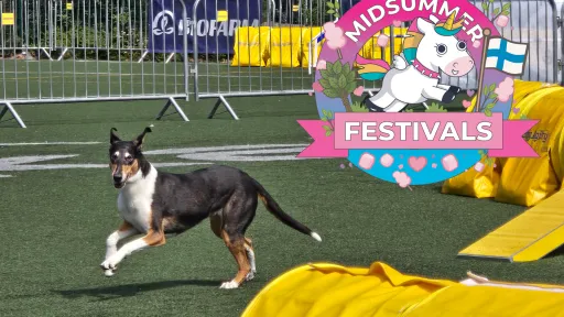 Kesän huikeimmat agilityfestarit järjestetään jälleen Kisakalliossa