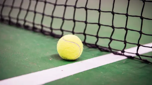 Tennis ball next to net on green court.
