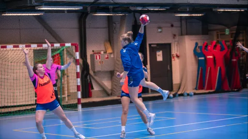 Käsipallon naisten maajoukkue harjoittelemassa Kisakalliossa