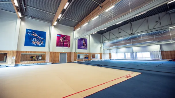 Voimistelusali värikkäillä julisteilla seinillä.