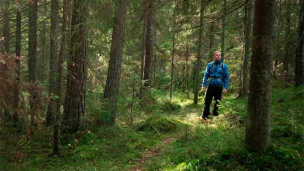 Mies sinisessä takissa kävelee metsäpolulla.