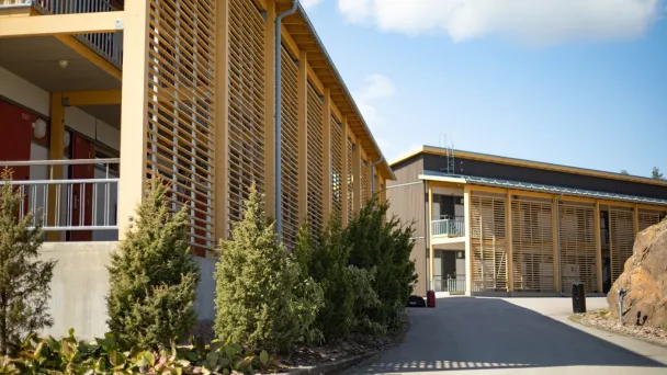 Nykyaikainen rakennus, puiset ritiläseinät, sininen taivas.