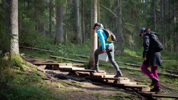 Kaksi ihmistä vaeltaa metsäpolulla portailla.