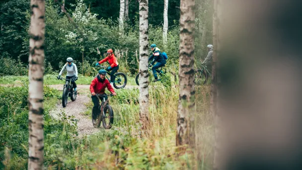 Ryhmä pyöräilemässä fatbikeillä vehreässä metsässä.