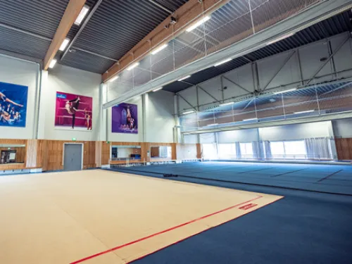 Voimistelusali värikkäillä julisteilla seinillä.