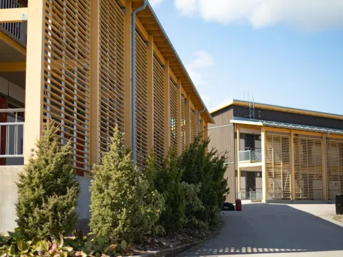 Nykyaikainen rakennus, puiset ritiläseinät, sininen taivas.