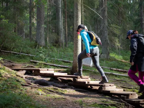 Kaksi ihmistä vaeltaa metsäpolulla portailla.