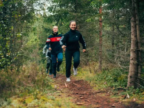 Kolme henkilöä juoksee metsäpolulla, kasvillisuutta ympärillään.