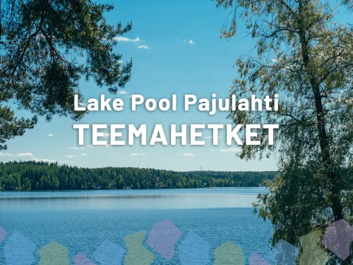 Pajulahden järvimaisema kesällä.