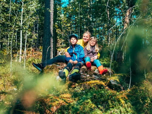 Kolme lasta istuu metsän keskellä kivellä, ympärillä vihreää kasvillisuutta.