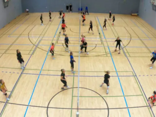Sisäliikuntasali, jossa useita ihmisiä pelaamassa pallopelejä.