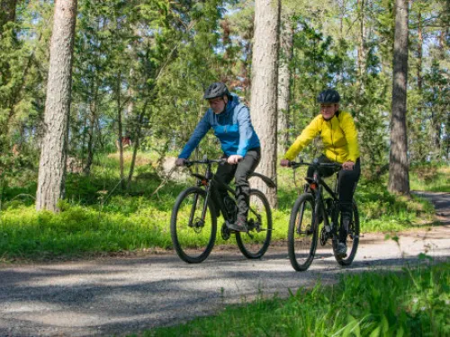 Kaksi ihmistä pyöräilee metsätiellä aurinkoisena päivänä.