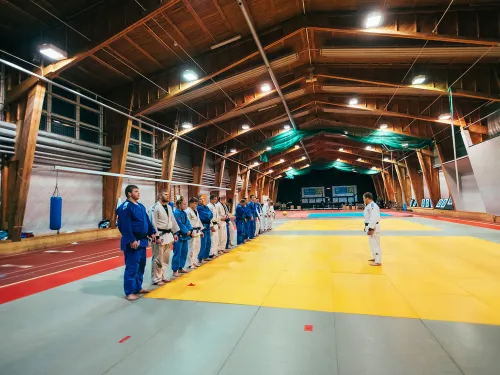 Judokat rivissä Nikula-hallissa.