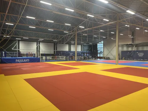 Pajulahden kamppailuareena