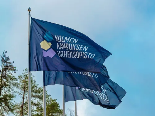 Siniset liput liehuvat tuulessa pilvistä taivasta vasten.