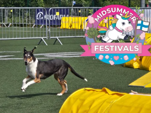 Kesän huikeimmat agilityfestarit järjestetään jälleen Kisakalliossa