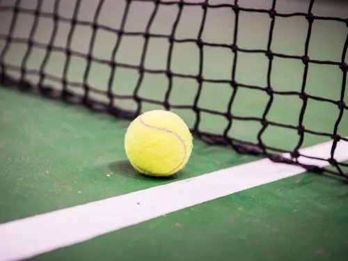 Tennis ball next to net on green court.