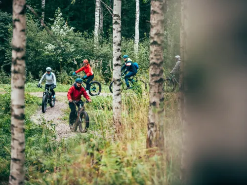 Ryhmä pyöräilemässä fatbikeillä vehreässä metsässä.