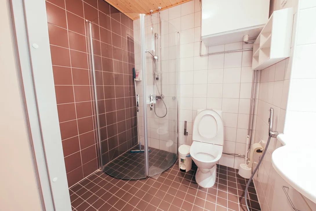 Kylpyhuone, jossa on suihku ja wc, ruskeat ja valkoiset laatat.